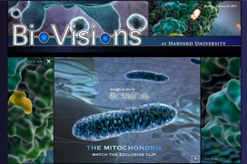 biovisions multimedia video production web site